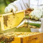 Honey Storage Tank and Honey Extractors: Essential Tools for Modern Beekeeping