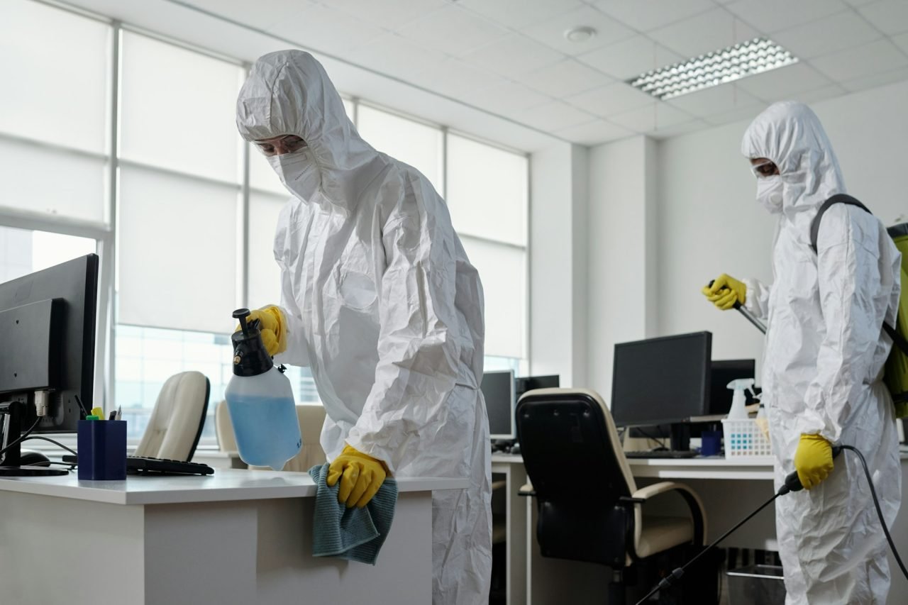 Pest Control in Jaipur: Reliable Solutions for a Pest-Free Home