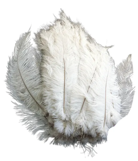 BuyOstrichFeathers.com Offers Premium Feathers and Decorative Solutions for South African Events