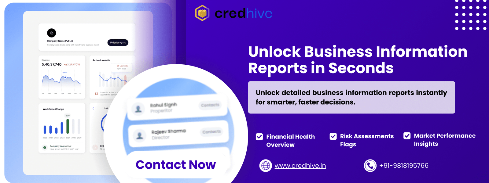 Business Credit Intelligence