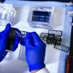 Recombinant Enzymes in Clinical Diagnostics: Precision, Stability, and Advancements in Creatinine Assaysbioglyco