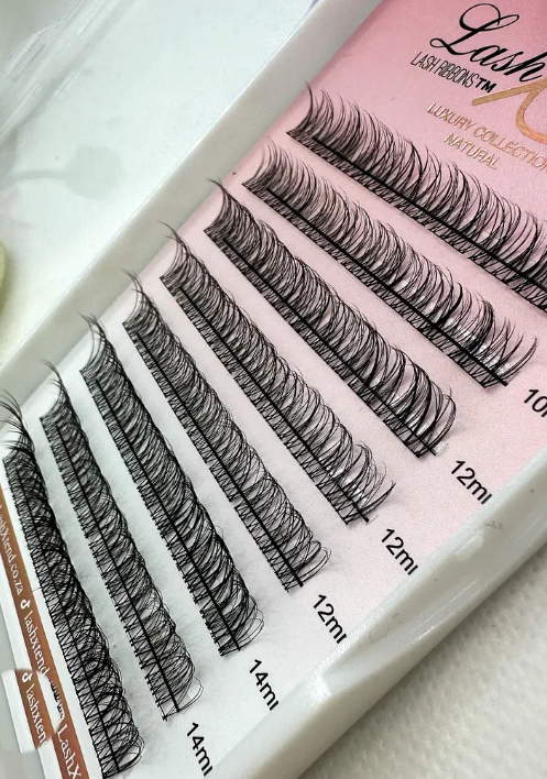 LashXtend Empowers South Africans with Premium DIY Lash Solutions