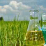 South East Asia Agrochemicals Market Growth, Size & Trends Forecast 2025-2033