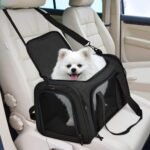 dog carrying purse