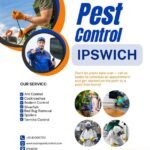 Pest Control Experts at Your Service