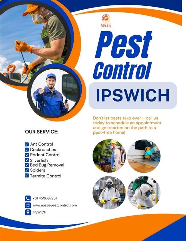 Pest Control Experts at Your Service