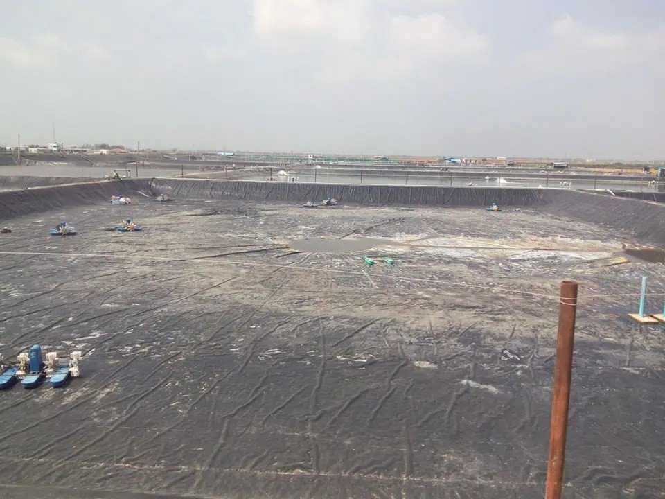 Liner for Ash Storage Pond