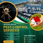 pest control services in Biggera Waters