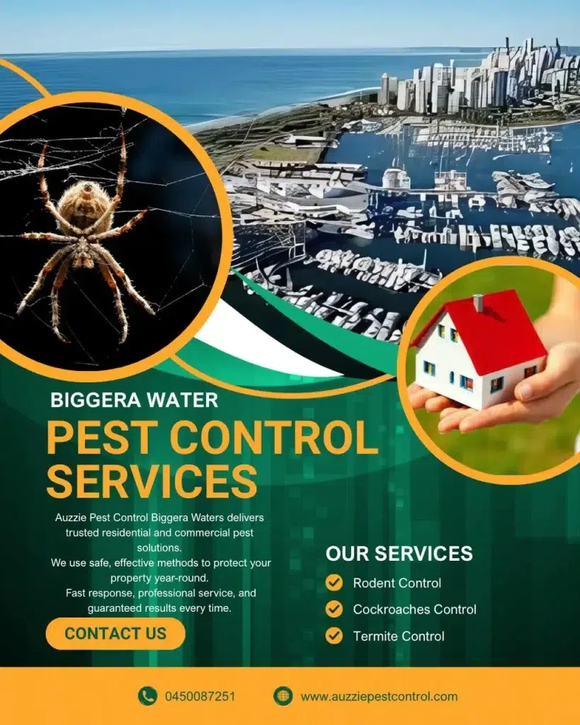 pest control services in Biggera Waters