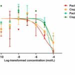 Tumor Organoid & CAF Co-culture Service