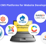 Best CMS Development Services Wilmington DE