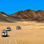 Best Time to Visit Siwa