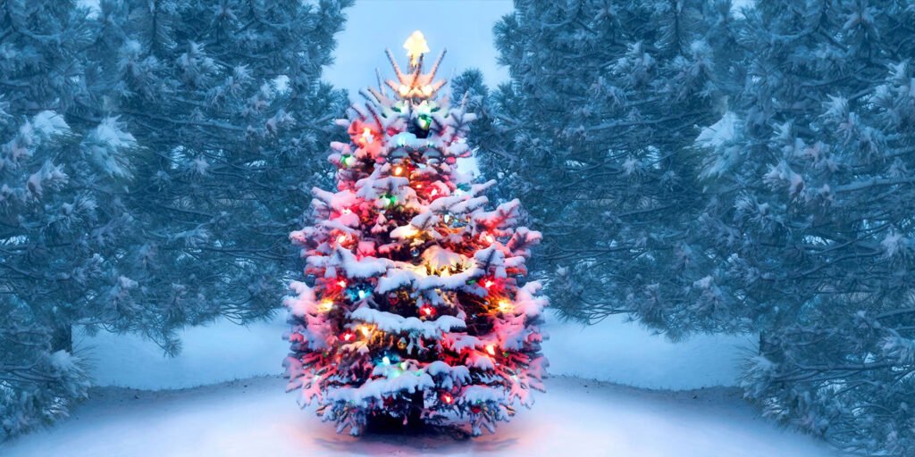 Beautiful snow-covered Christmas tree with colorful lights surrounded by pine trees, representing the history and symbolism of Christmas traditions.
