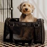 small dog carrier purse
