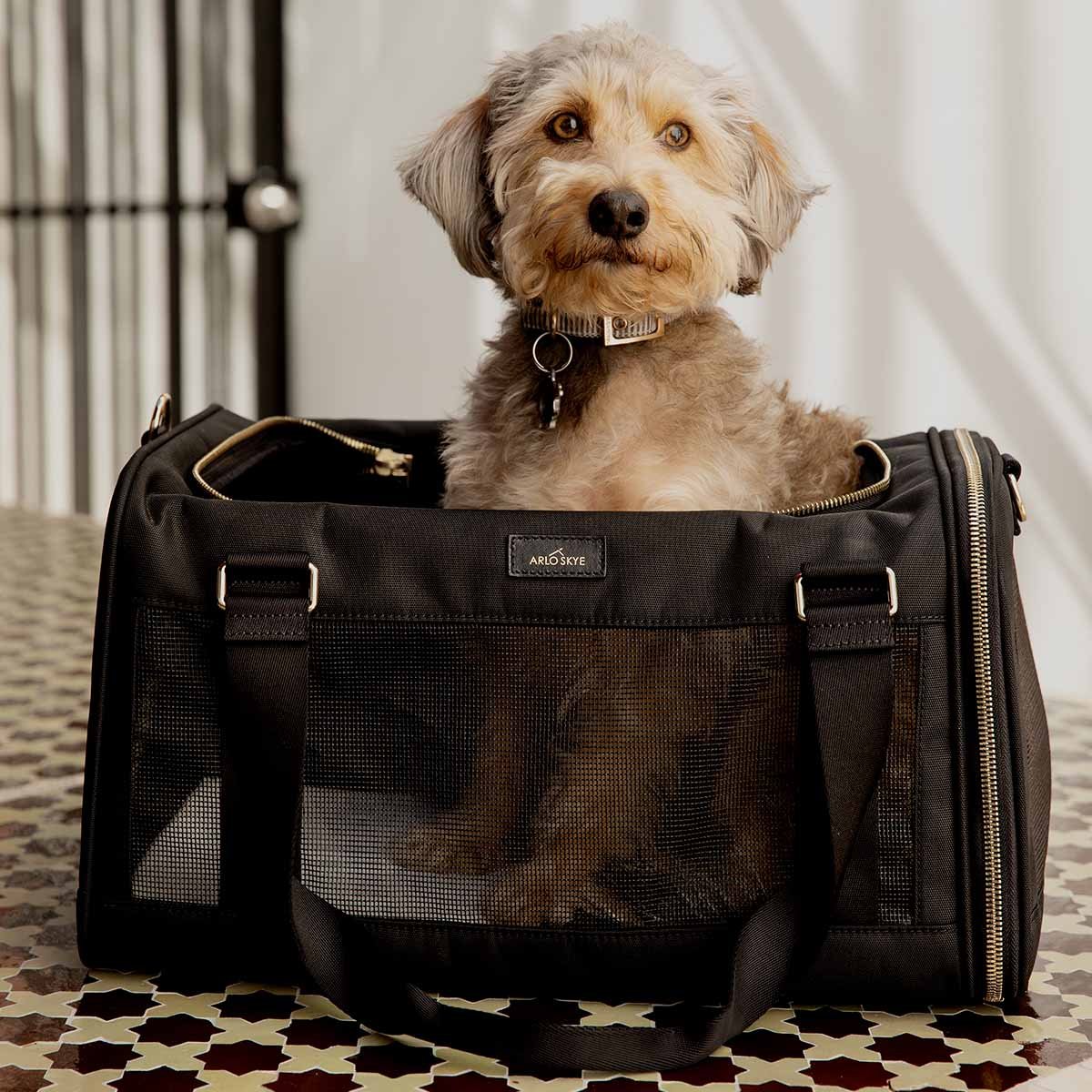 small dog carrier purse