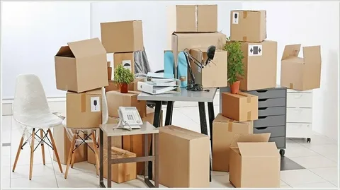 Simplify Your Move with Professional Organizers