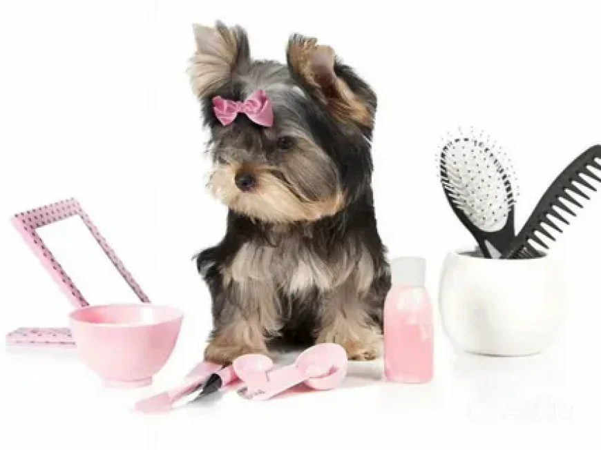 Expert Yorkie Grooming Tips for a Healthy, Happy Pup ppy Pup