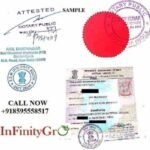 Article of Association Apostille