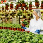 pest control plants for vegetable gardens