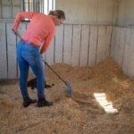 Barn Clean Out Made Simple: Organize and Save Time