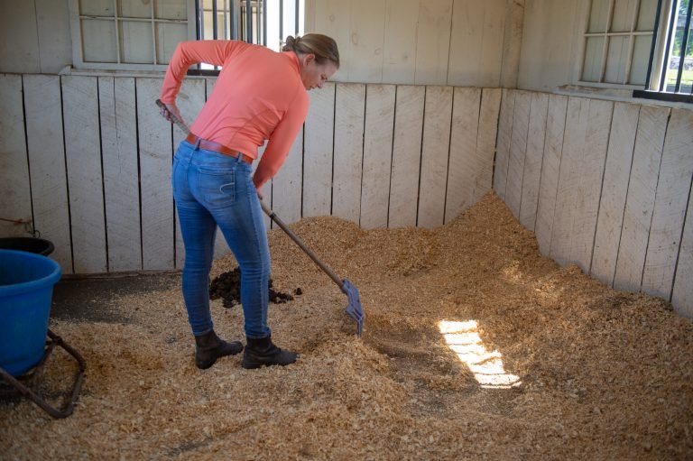Barn Clean Out Made Simple: Organize and Save Time