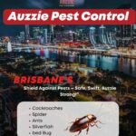 Pest Control Services in Brisbane