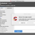 CCleaner Professional