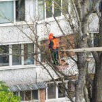 The Importance of Commercial Tree Maintenance for Business Properties