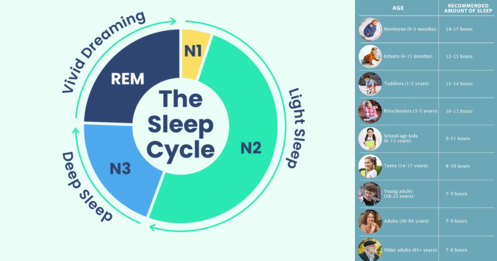 Benefits of Using a Sleep Calculator