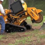 Stump Grinding and Tree Removal