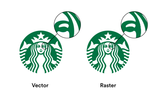 Want Your Logo Converted to Vector Format with Precision?