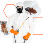 Home Pest Control in Jaipur