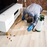 Your Comprehensive Guide