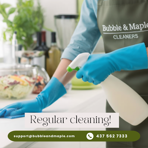 Professional Cleaners