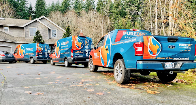 What Are the Long-Term Effects of a Flooded Basement?