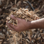 Wood Chips Market Trends, Growth, and Forecast 2025-2033